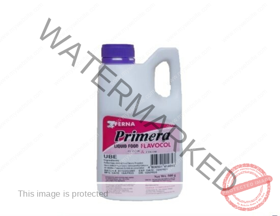 Ferna Primera Flavocol Food Flavor and Color 500ML [UBE, CHOCOLATE, BUKO PANDAN, MOCHA) - Image 2